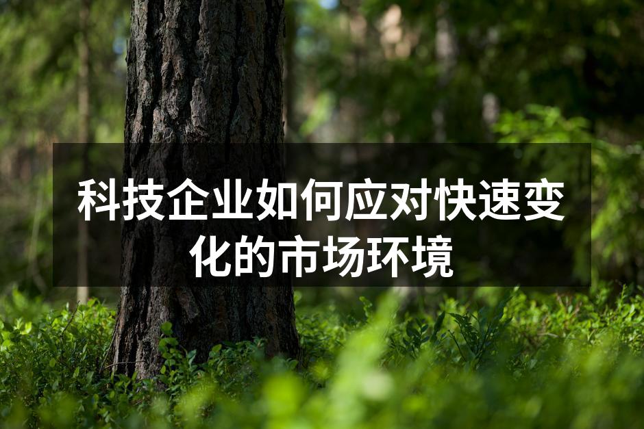 科技企业如何应对快速变化的市场环境